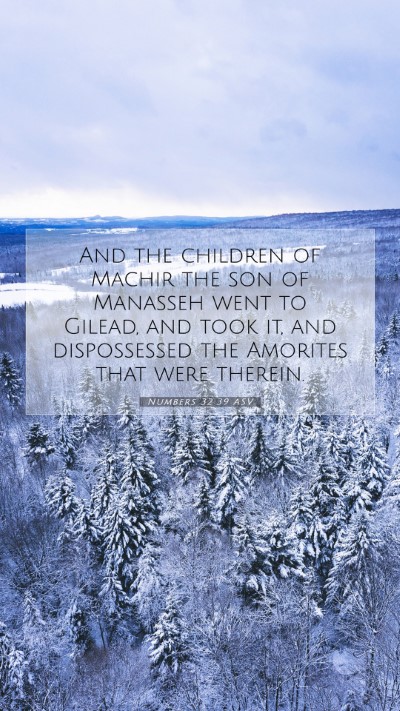 Picture 07 - Numbers 32:39 ASV Mobile Phone Wallpaper - And the children of Machir the son of Manasseh - Mobile Bible Verse Wallpaper