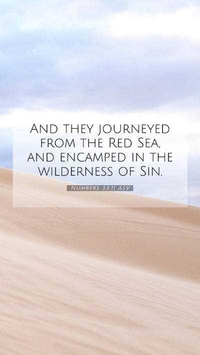 Picture 07 - Numbers 33:11 ASV Mobile Phone Wallpaper - And they journeyed from the Red Sea, and encamped - Mobile Bible Verse Wallpaper