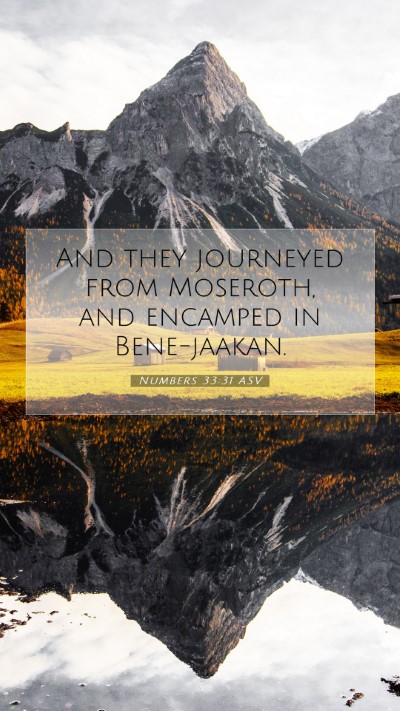 Picture 07 - Numbers 33:31 ASV Mobile Phone Wallpaper - And they journeyed from Moseroth, and encamped in - Mobile Bible Verse Wallpaper