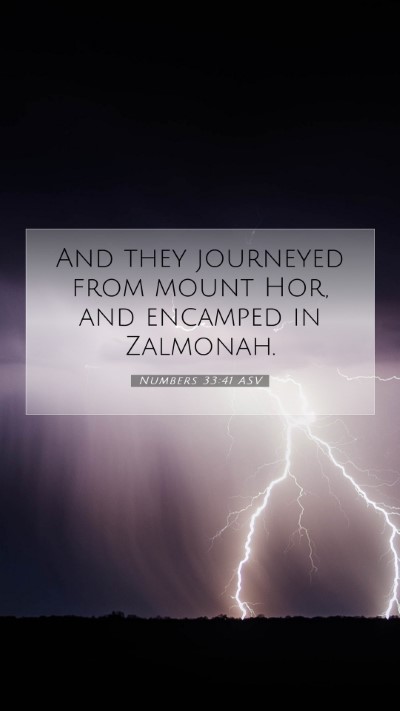 Picture 07 - Numbers 33:41 ASV Mobile Phone Wallpaper - And they journeyed from mount Hor, and encamped - Mobile Bible Verse Wallpaper