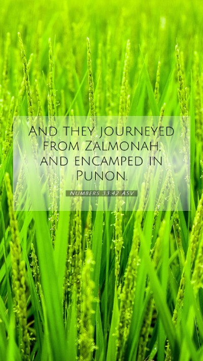 Picture 07 - Numbers 33:42 ASV Mobile Phone Wallpaper - And they journeyed from Zalmonah, and encamped in - Mobile Bible Verse Wallpaper