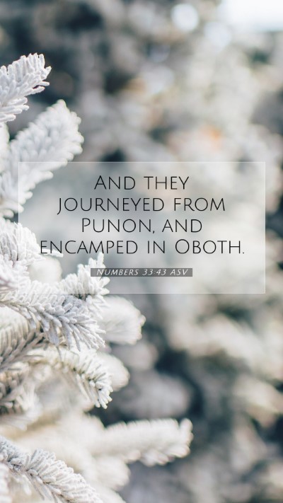 Picture 07 - Numbers 33:43 ASV Mobile Phone Wallpaper - And they journeyed from Punon, and encamped in - Mobile Bible Verse Wallpaper