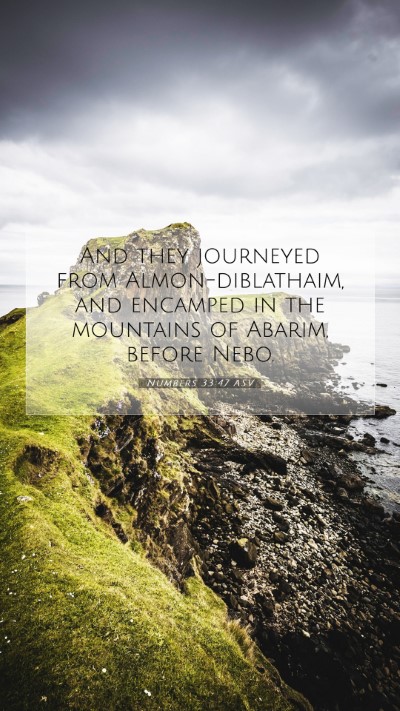 Picture 07 - Numbers 33:47 ASV Mobile Phone Wallpaper - And they journeyed from Almon-diblathaim, and - Mobile Bible Verse Wallpaper