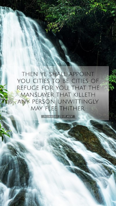 Picture 07 - Numbers 35:11 ASV Mobile Phone Wallpaper - then ye shall appoint you cities to be cities of - Mobile Bible Verse Wallpaper