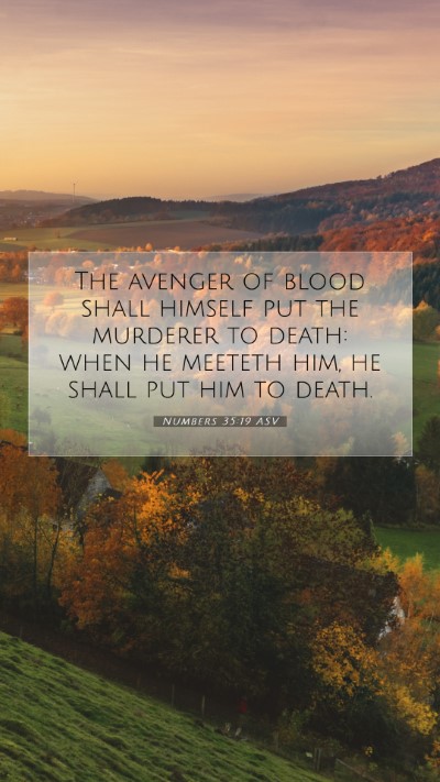 Picture 07 - Numbers 35:19 ASV Mobile Phone Wallpaper - The avenger of blood shall himself put the - Mobile Bible Verse Wallpaper
