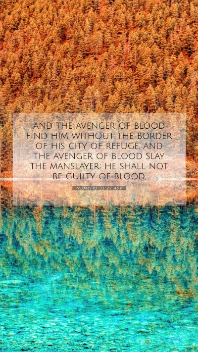 Picture 07 - Numbers 35:27 ASV Mobile Phone Wallpaper - and the avenger of blood find him without the - Mobile Bible Verse Wallpaper