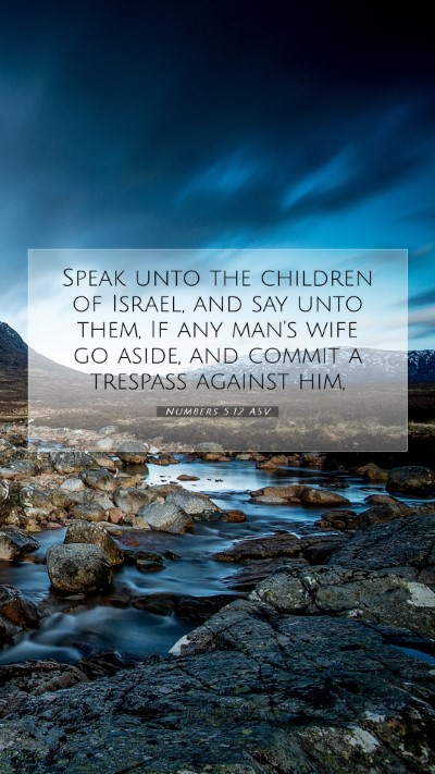 Picture 07 - Numbers 5:12 ASV Mobile Phone Wallpaper - Speak unto the children of Israel, and say unto - Mobile Bible Verse Wallpaper