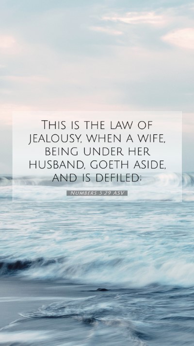 Picture 07 - Numbers 5:29 ASV Mobile Phone Wallpaper - This is the law of jealousy, when a wife, being - Mobile Bible Verse Wallpaper