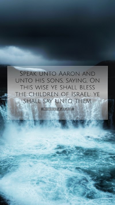 Picture 07 - Numbers 6:23 ASV Mobile Phone Wallpaper - Speak unto Aaron and unto his sons, saying, On - Mobile Bible Verse Wallpaper