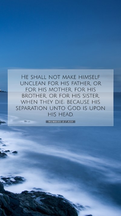 Picture 07 - Numbers 6:7 ASV Mobile Phone Wallpaper - He shall not make himself unclean for his father, - Mobile Bible Verse Wallpaper