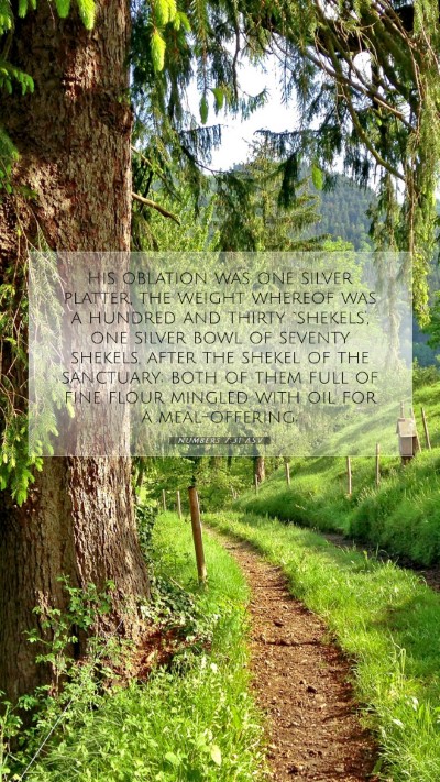 Picture 07 - Numbers 7:31 ASV Mobile Phone Wallpaper - his oblation was one silver platter, the weight - Mobile Bible Verse Wallpaper