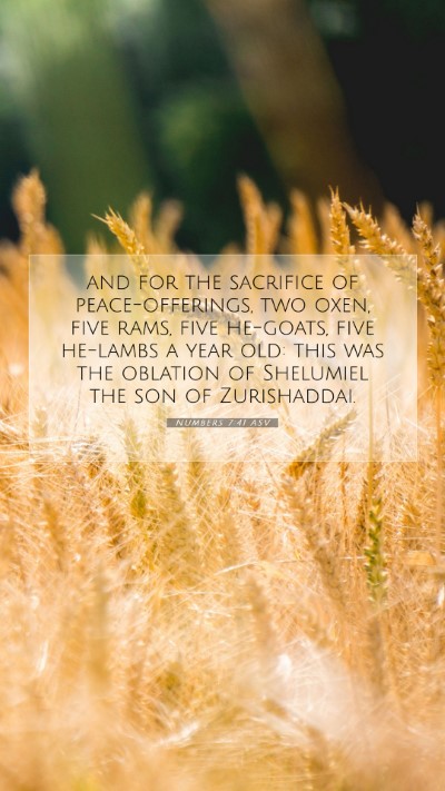 Picture 07 - Numbers 7:41 ASV Mobile Phone Wallpaper - and for the sacrifice of peace-offerings, two - Mobile Bible Verse Wallpaper