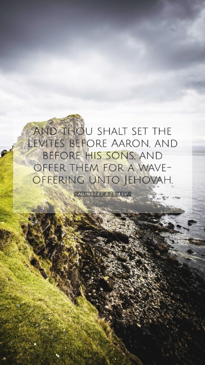 Picture 07 - Numbers 8:13 ASV Mobile Phone Wallpaper - And thou shalt set the Levites before Aaron, and - Mobile Bible Verse Wallpaper