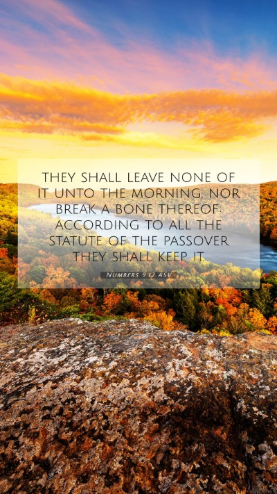 Picture 07 - Numbers 9:12 ASV Mobile Phone Wallpaper - they shall leave none of it unto the morning, nor - Mobile Bible Verse Wallpaper