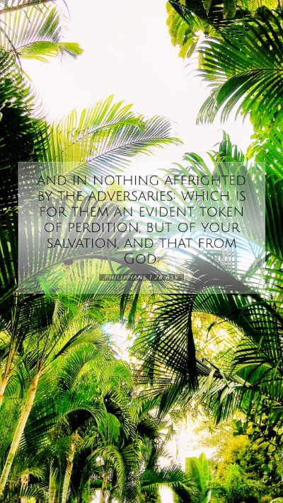 Picture 07 - Philippians 1:28 ASV Mobile Phone Wallpaper - and in nothing affrighted by the adversaries: - Mobile Bible Verse Wallpaper