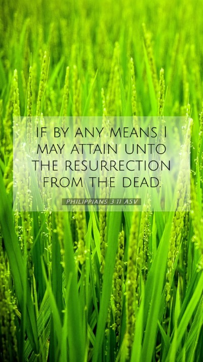 Picture 07 - Philippians 3:11 ASV Mobile Phone Wallpaper - if by any means I may attain unto the - Mobile Bible Verse Wallpaper