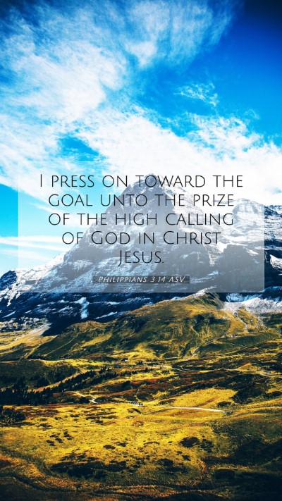 Picture 07 - Philippians 3:14 ASV Mobile Phone Wallpaper - I press on toward the goal unto the prize of the - Mobile Bible Verse Wallpaper