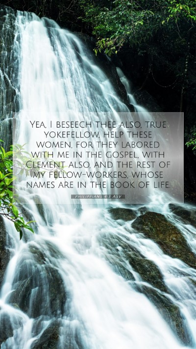 Picture 07 - Philippians 4:3 ASV Mobile Phone Wallpaper - Yea, I beseech thee also, true yokefellow, help - Mobile Bible Verse Wallpaper