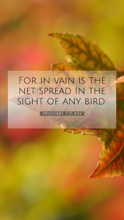 Picture 07 - Proverbs 1:17 ASV Mobile Phone Wallpaper - For in vain is the net spread In the sight of any - Mobile Bible Verse Wallpaper