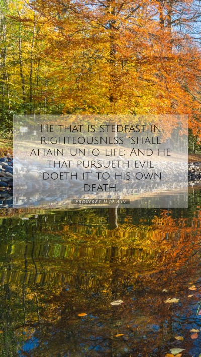 Picture 07 - Proverbs 11:19 ASV Mobile Phone Wallpaper - He that is stedfast in righteousness `shall - Mobile Bible Verse Wallpaper