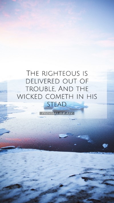 Picture 07 - Proverbs 11:8 ASV Mobile Phone Wallpaper - The righteous is delivered out of trouble, And - Mobile Bible Verse Wallpaper