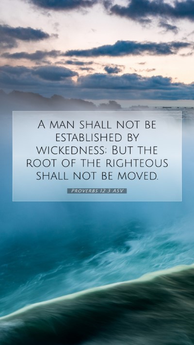 Picture 07 - Proverbs 12:3 ASV Mobile Phone Wallpaper - A man shall not be established by wickedness; But - Mobile Bible Verse Wallpaper