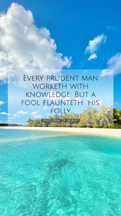 Picture 07 - Proverbs 13:16 ASV Mobile Phone Wallpaper - Every prudent man worketh with knowledge; But a - Mobile Bible Verse Wallpaper
