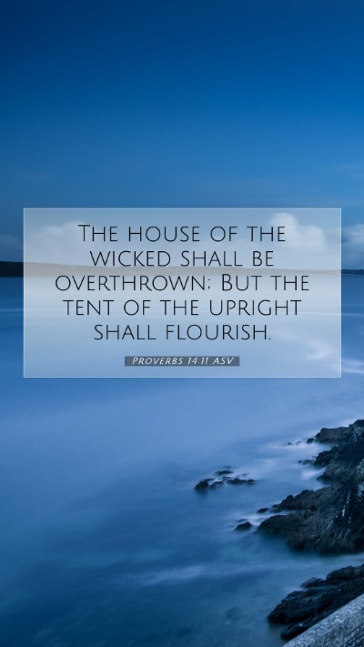 Picture 07 - Proverbs 14:11 ASV Mobile Phone Wallpaper - The house of the wicked shall be overthrown; But - Mobile Bible Verse Wallpaper