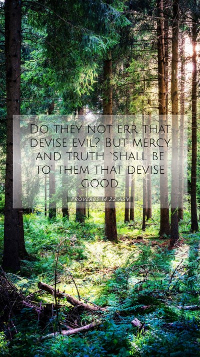 Picture 07 - Proverbs 14:22 ASV Mobile Phone Wallpaper - Do they not err that devise evil? But mercy and - Mobile Bible Verse Wallpaper