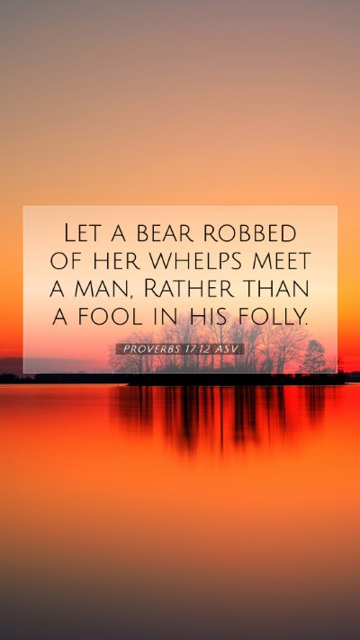 Picture 07 - Proverbs 17:12 ASV Mobile Phone Wallpaper - Let a bear robbed of her whelps meet a man, - Mobile Bible Verse Wallpaper