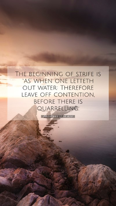 Picture 07 - Proverbs 17:14 ASV Mobile Phone Wallpaper - The beginning of strife is `as' when one letteth - Mobile Bible Verse Wallpaper