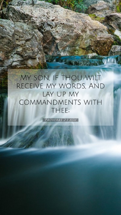 Picture 07 - Proverbs 2:1 ASV Mobile Phone Wallpaper - My son, if thou wilt receive my words, And lay up - Mobile Bible Verse Wallpaper