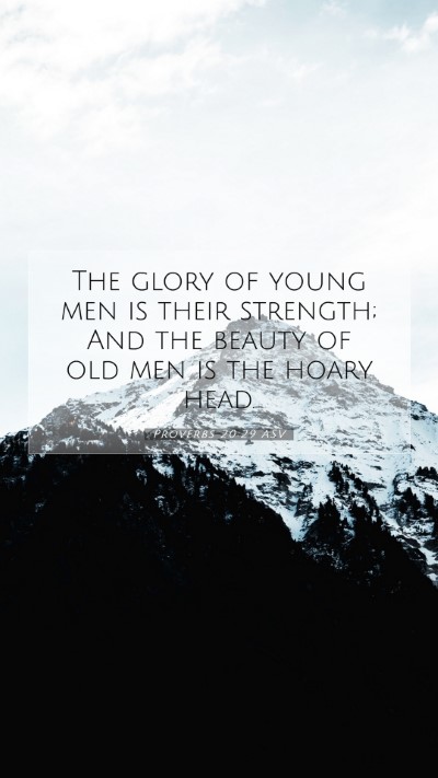 Picture 07 - Proverbs 20:29 ASV Mobile Phone Wallpaper - The glory of young men is their strength; And the - Mobile Bible Verse Wallpaper