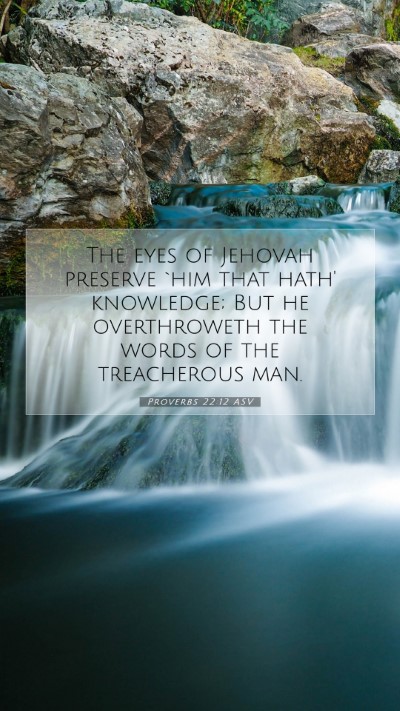 Picture 07 - Proverbs 22:12 ASV Mobile Phone Wallpaper - The eyes of Jehovah preserve `him that hath' - Mobile Bible Verse Wallpaper