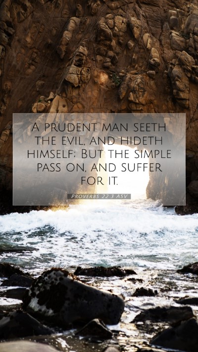Picture 07 - Proverbs 22:3 ASV Mobile Phone Wallpaper - A prudent man seeth the evil, and hideth himself; - Mobile Bible Verse Wallpaper
