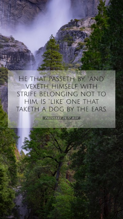 Picture 07 - Proverbs 26:17 ASV Mobile Phone Wallpaper - He that passeth by, `and' vexeth himself with - Mobile Bible Verse Wallpaper