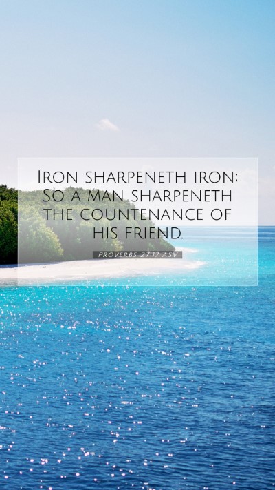 Picture 07 - Proverbs 27:17 ASV Mobile Phone Wallpaper - Iron sharpeneth iron; So a man sharpeneth the - Mobile Bible Verse Wallpaper