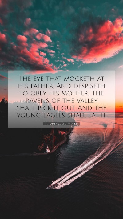 Picture 07 - Proverbs 30:17 ASV Mobile Phone Wallpaper - The eye that mocketh at his father, And despiseth - Mobile Bible Verse Wallpaper