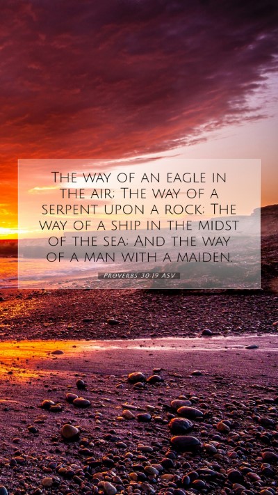 Picture 07 - Proverbs 30:19 ASV Mobile Phone Wallpaper - The way of an eagle in the air; The way of a - Mobile Bible Verse Wallpaper