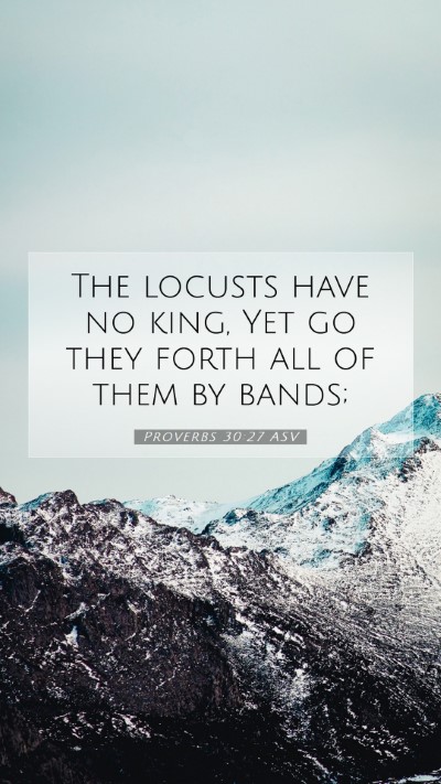 Picture 07 - Proverbs 30:27 ASV Mobile Phone Wallpaper - The locusts have no king, Yet go they forth all - Mobile Bible Verse Wallpaper