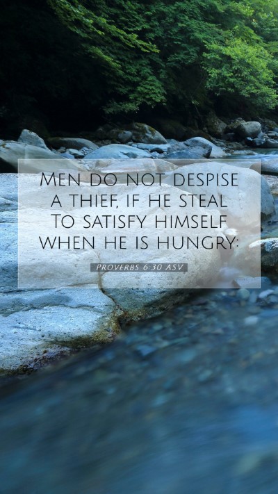 Picture 07 - Proverbs 6:30 ASV Mobile Phone Wallpaper - Men do not despise a thief, if he steal To - Mobile Bible Verse Wallpaper