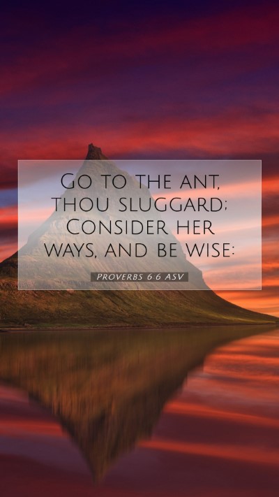 Picture 07 - Proverbs 6:6 ASV Mobile Phone Wallpaper - Go to the ant, thou sluggard; Consider her ways, - Mobile Bible Verse Wallpaper