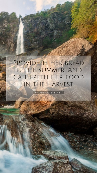 Picture 07 - Proverbs 6:8 ASV Mobile Phone Wallpaper - Provideth her bread in the summer, And gathereth - Mobile Bible Verse Wallpaper