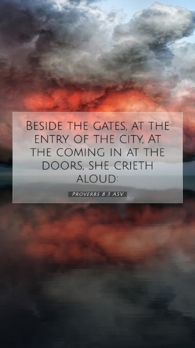 Picture 07 - Proverbs 8:3 ASV Mobile Phone Wallpaper - Beside the gates, at the entry of the city, At - Mobile Bible Verse Wallpaper