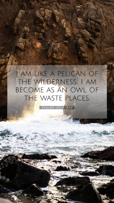 Picture 07 - Psalms 102:6 ASV Mobile Phone Wallpaper - I am like a pelican of the wilderness; I am - Mobile Bible Verse Wallpaper