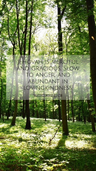 Picture 07 - Psalms 103:8 ASV Mobile Phone Wallpaper - Jehovah is merciful and gracious, Slow to anger, - Mobile Bible Verse Wallpaper