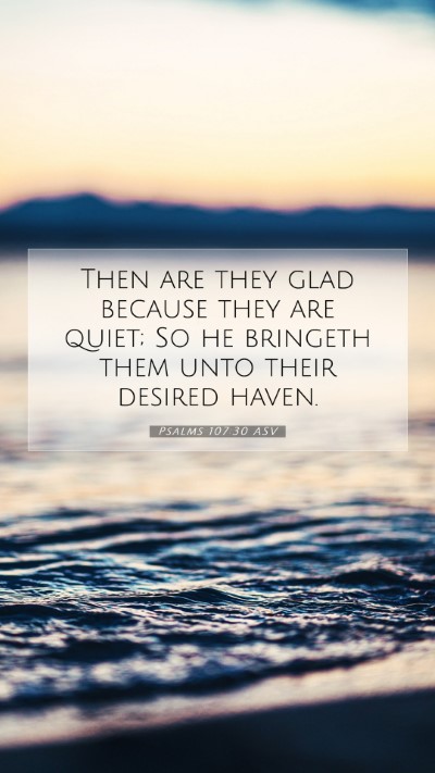 Picture 07 - Psalms 107:30 ASV Mobile Phone Wallpaper - Then are they glad because they are quiet; So he - Mobile Bible Verse Wallpaper