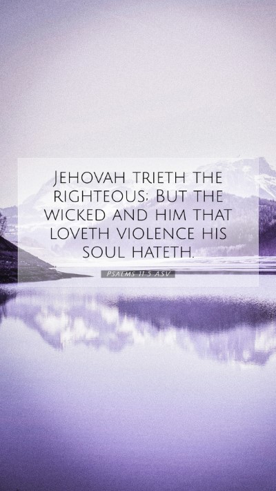 Picture 07 - Psalms 11:5 ASV Mobile Phone Wallpaper - Jehovah trieth the righteous; But the wicked and - Mobile Bible Verse Wallpaper