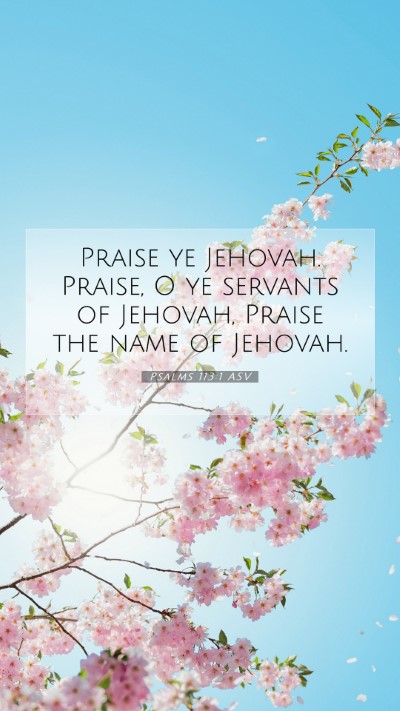 Picture 07 - Psalms 113:1 ASV Mobile Phone Wallpaper - Praise ye Jehovah. Praise, O ye servants of - Mobile Bible Verse Wallpaper