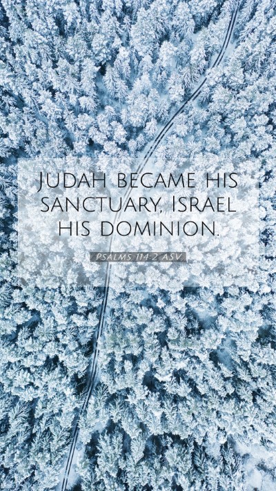 Picture 07 - Psalms 114:2 ASV Mobile Phone Wallpaper - Judah became his sanctuary, Israel his - Mobile Bible Verse Wallpaper